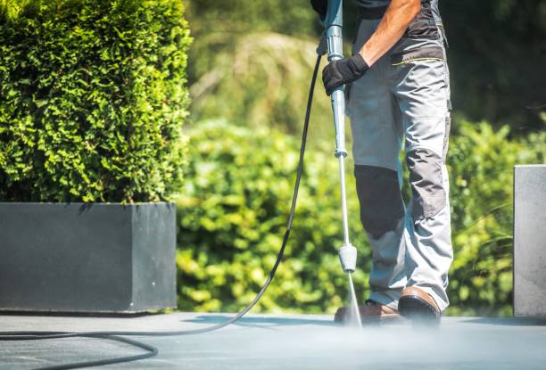 Solar Panel Cleaning in Hempstead, TX