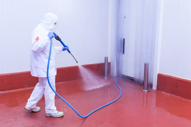 Best Boat and Dock Cleaning  in Hempstead, TX
